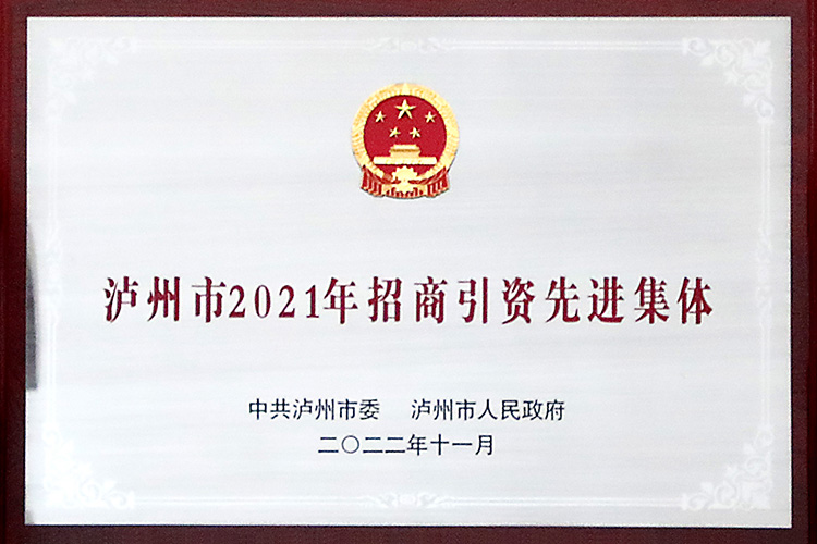 泸州市2021年招商引資先進集體