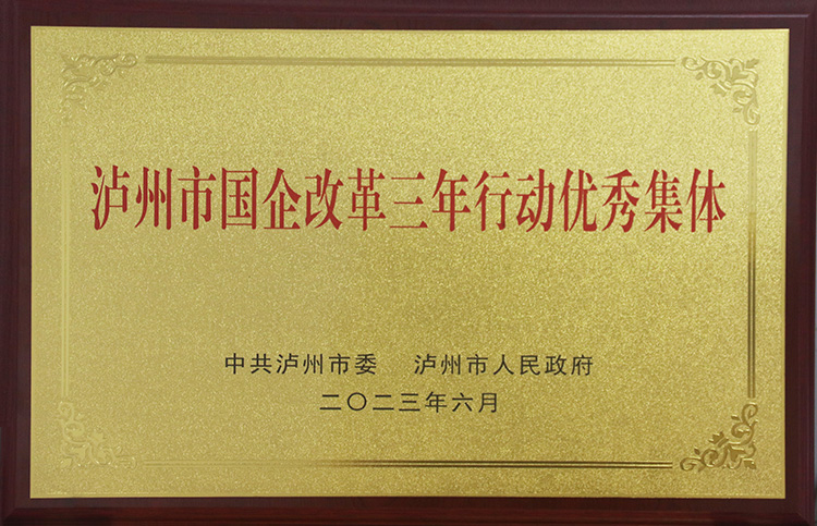 泸州市國企改革三年行動優秀集體