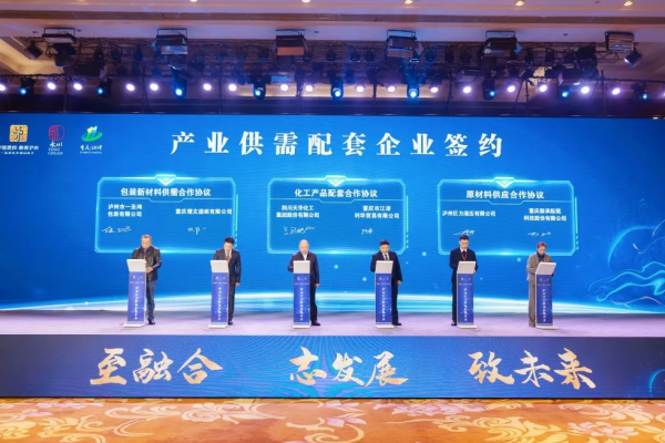 集團參加泸永江産業協作推介會