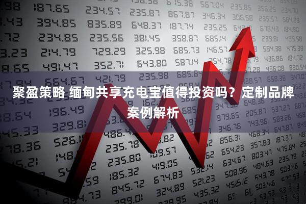 聚盈策略 缅甸共享充电宝值得投资吗？定制品牌案例解析