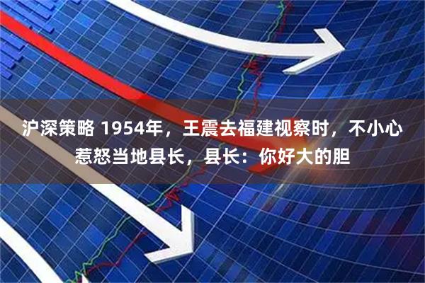 沪深策略 1954年，王震去福建视察时，不小心惹怒当地县长，县长：你好大的胆