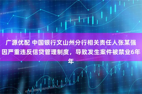 广源优配 中国银行文山州分行相关责任人张某强因严重违反信贷管理制度，导致发生案件被禁业6年