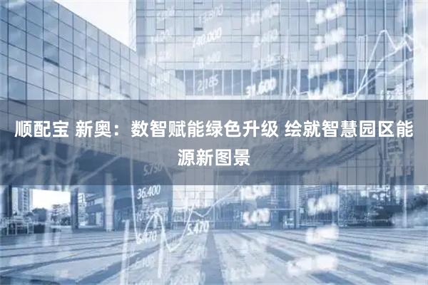 顺配宝 新奥：数智赋能绿色升级 绘就智慧园区能源新图景